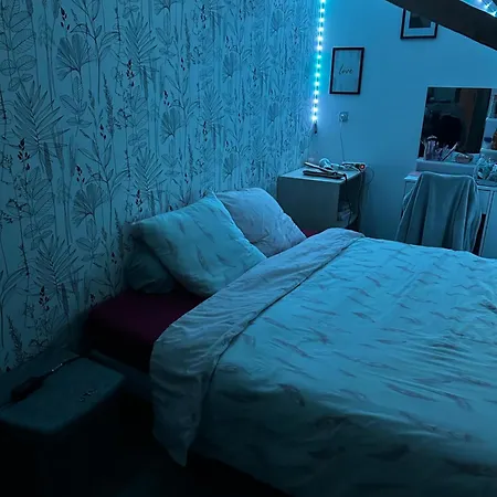 Homestay Maison Georget Saint-Ouen-en-Belin